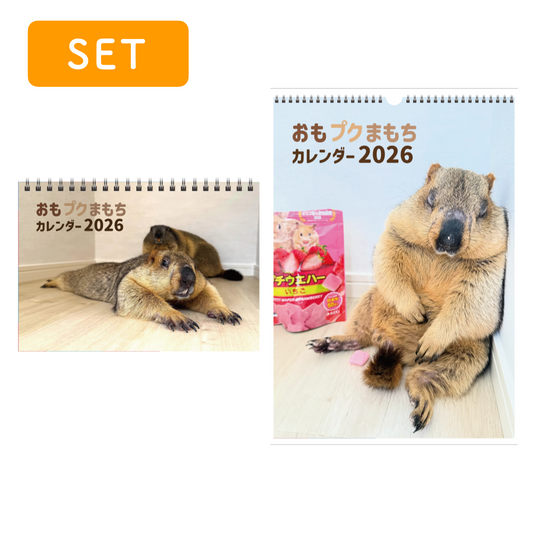 マーモットカレンダー2026(セット)
