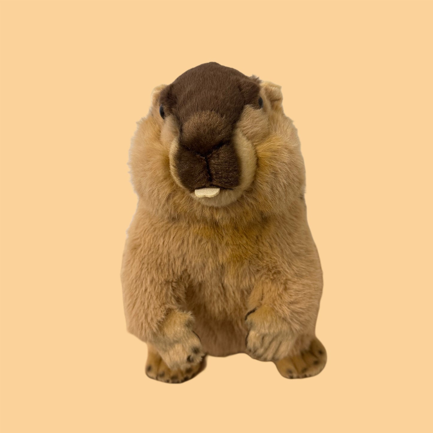 たたずみマーモットぬいぐるみ