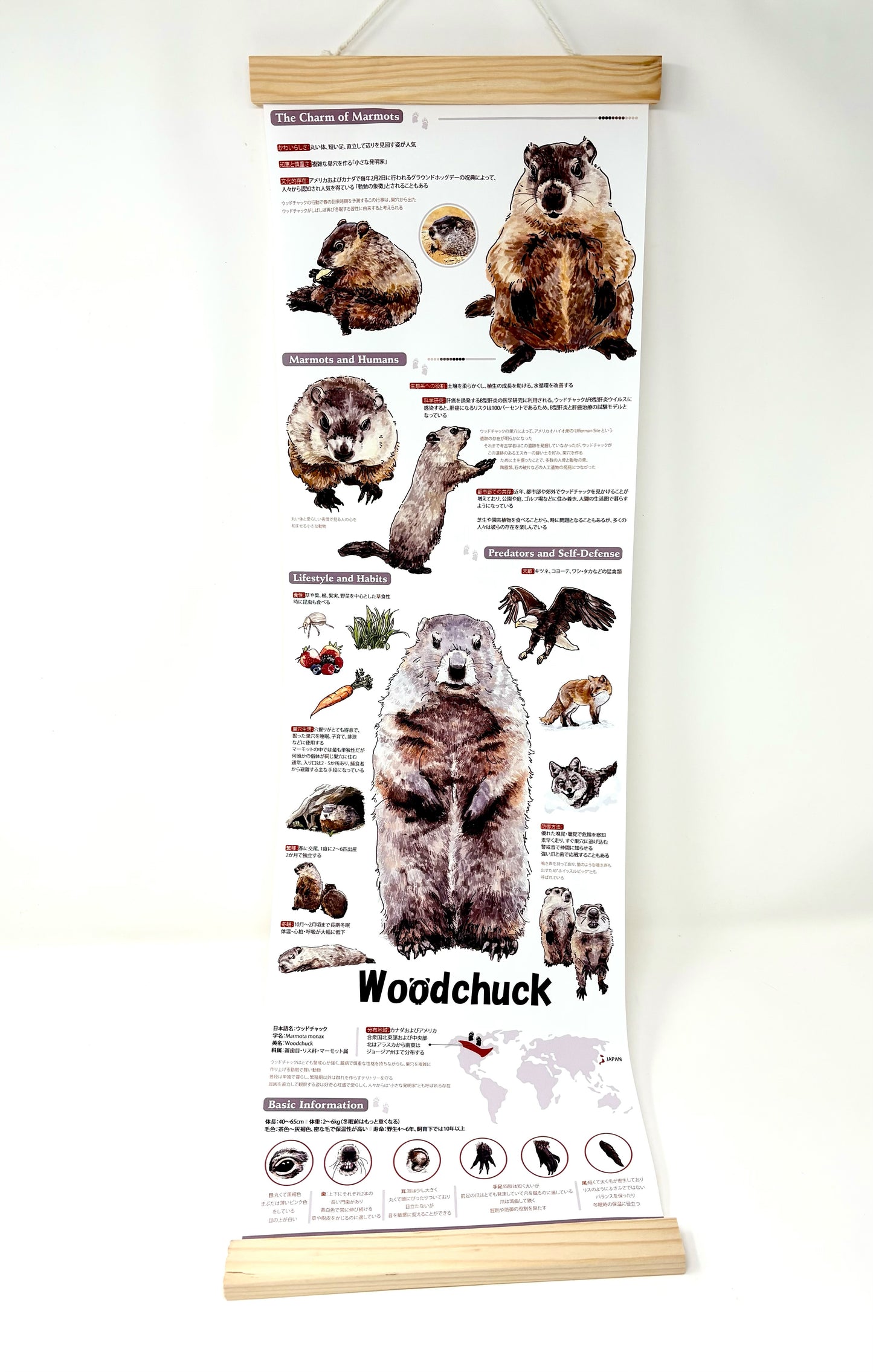 マモタペストリー by 蕾