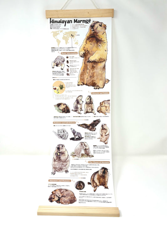 マモタペストリー by 蕾