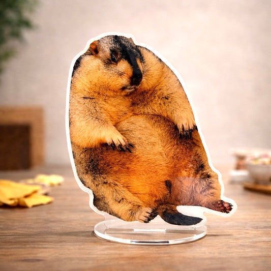 BIGビスケアクリルスタンド