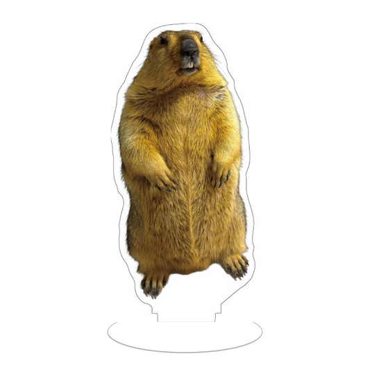 虚無マーモットアクスタ