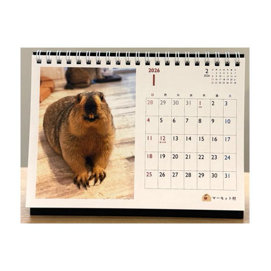 マーモットカレンダー2026(卓上)