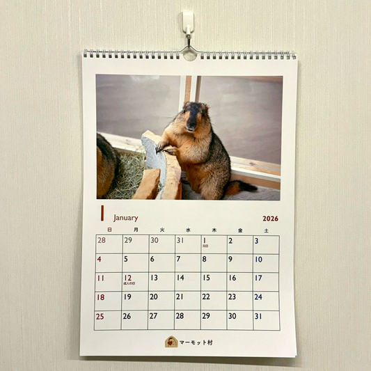 マーモットカレンダー2026(壁掛け)