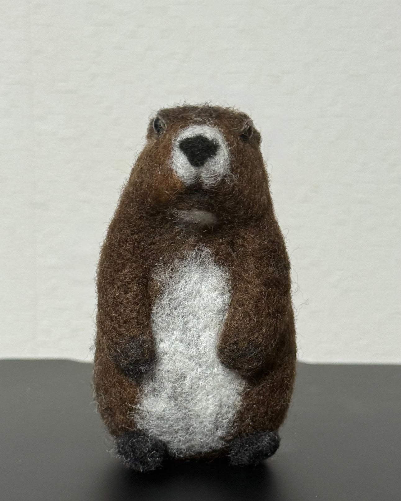 羊毛マーモット by あひるさん