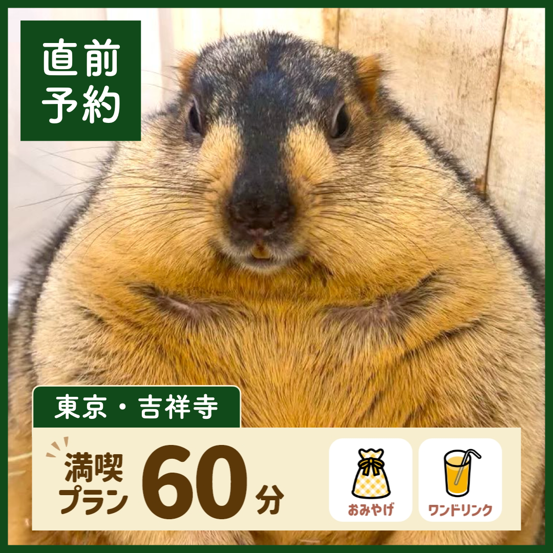 【東京・吉祥寺】【直前予約】満喫プラン 60分(ワンドリンク・お土産付き)
