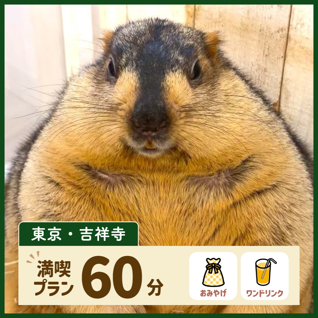 【東京・吉祥寺】満喫プラン 60分(ワンドリンク・お土産付き)