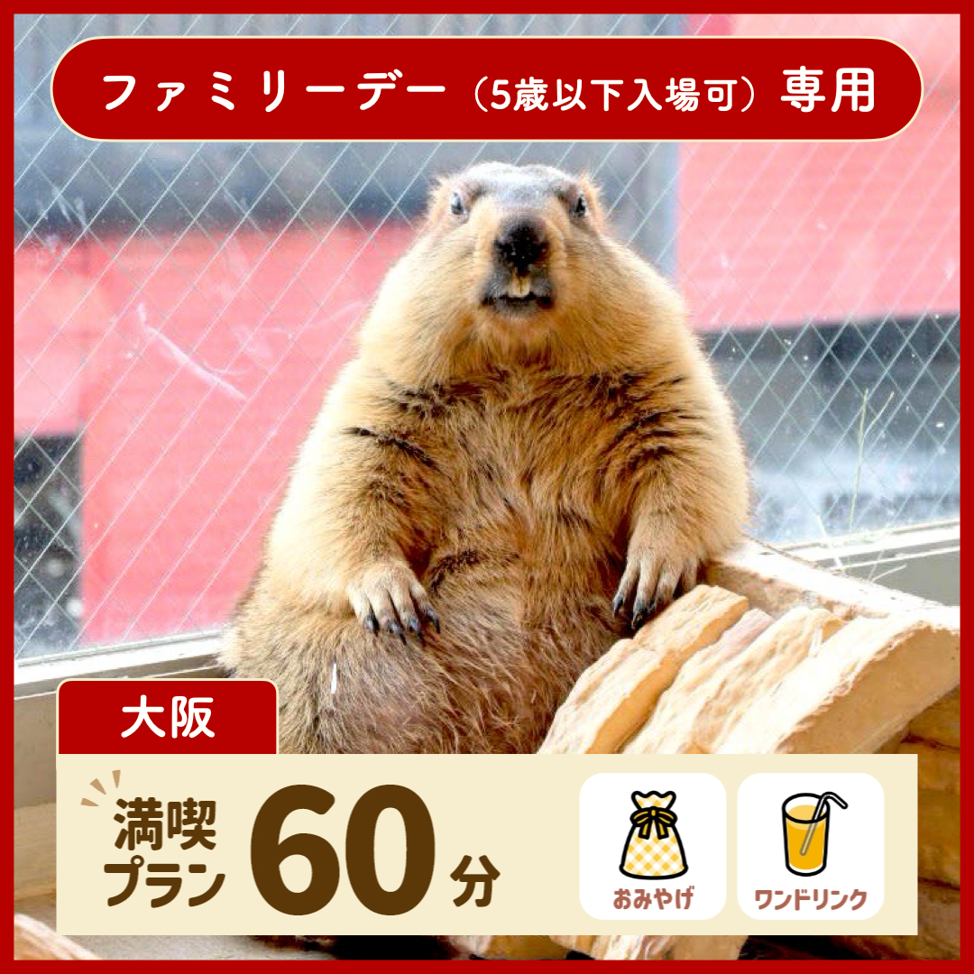 【大阪】【ファミリーデー専用】満喫プラン 60分(ワンドリンク・お土産付き)