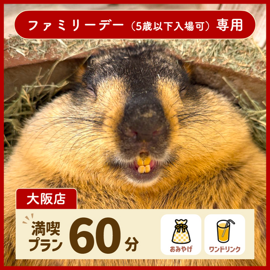 【大阪店】【ファミリーデー専用】満喫プラン 60分(ワンドリンク・お土産付き)