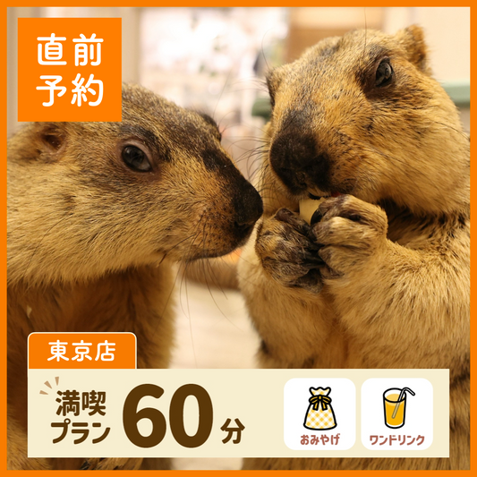 【東京店】【直前予約】満喫プラン 60分(ワンドリンク・お土産付き)