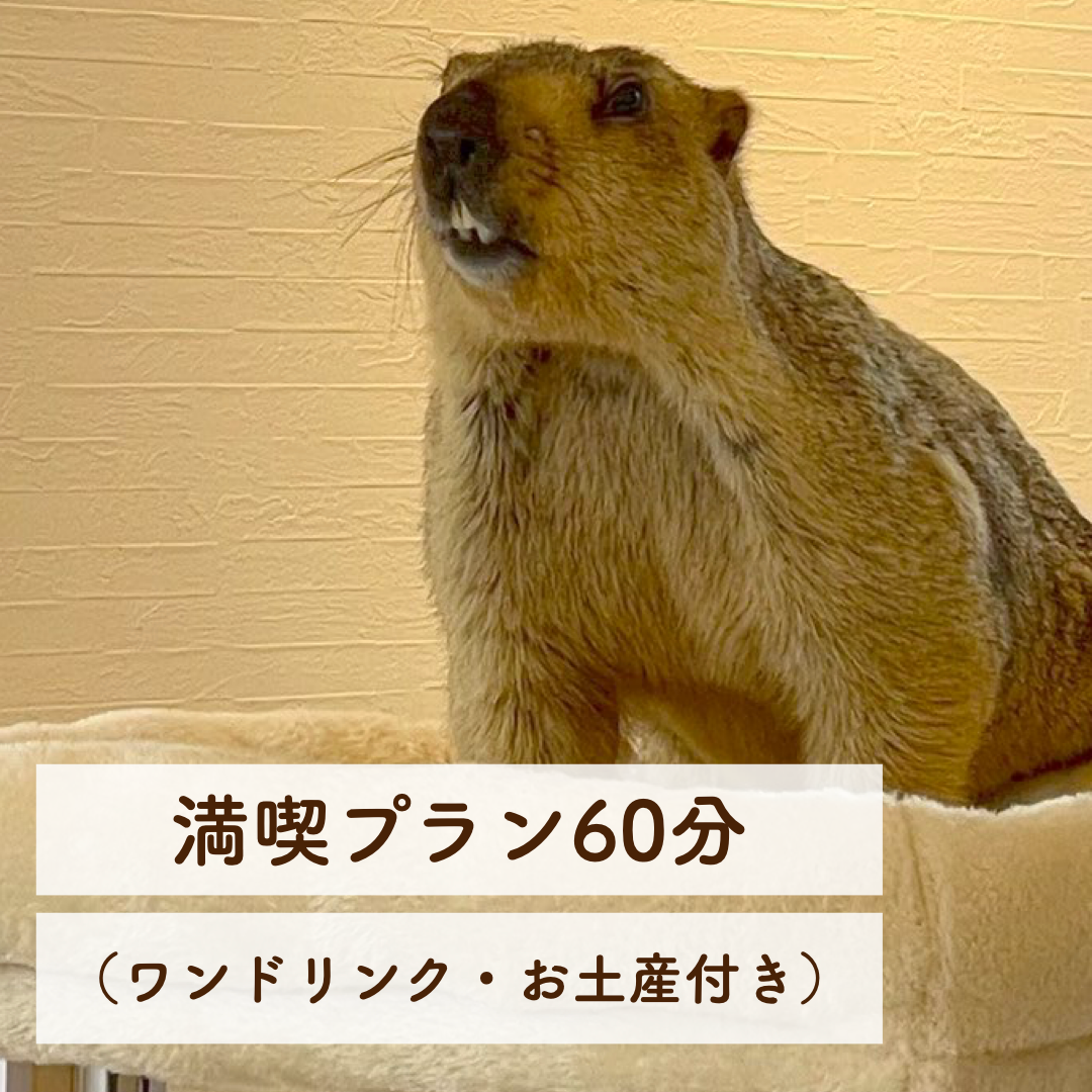 満喫プラン 60分(ワンドリンク・お土産付き)