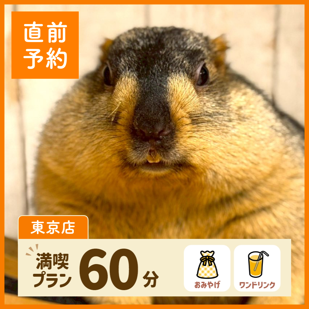 【東京】【直前予約】満喫プラン 60分(ワンドリンク・お土産付き)