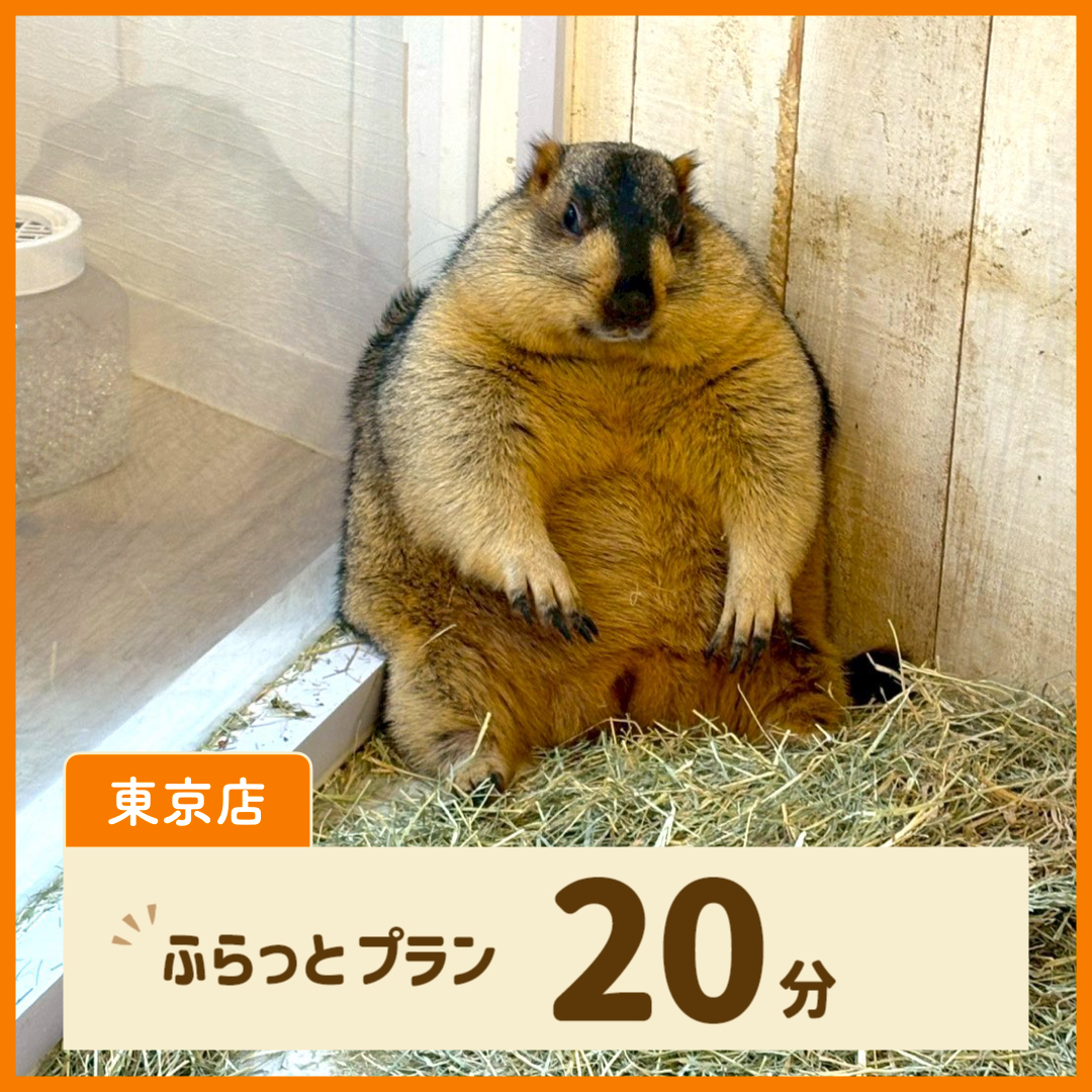 【東京】ふらっとプラン 20分(ドリンク・お土産なし)