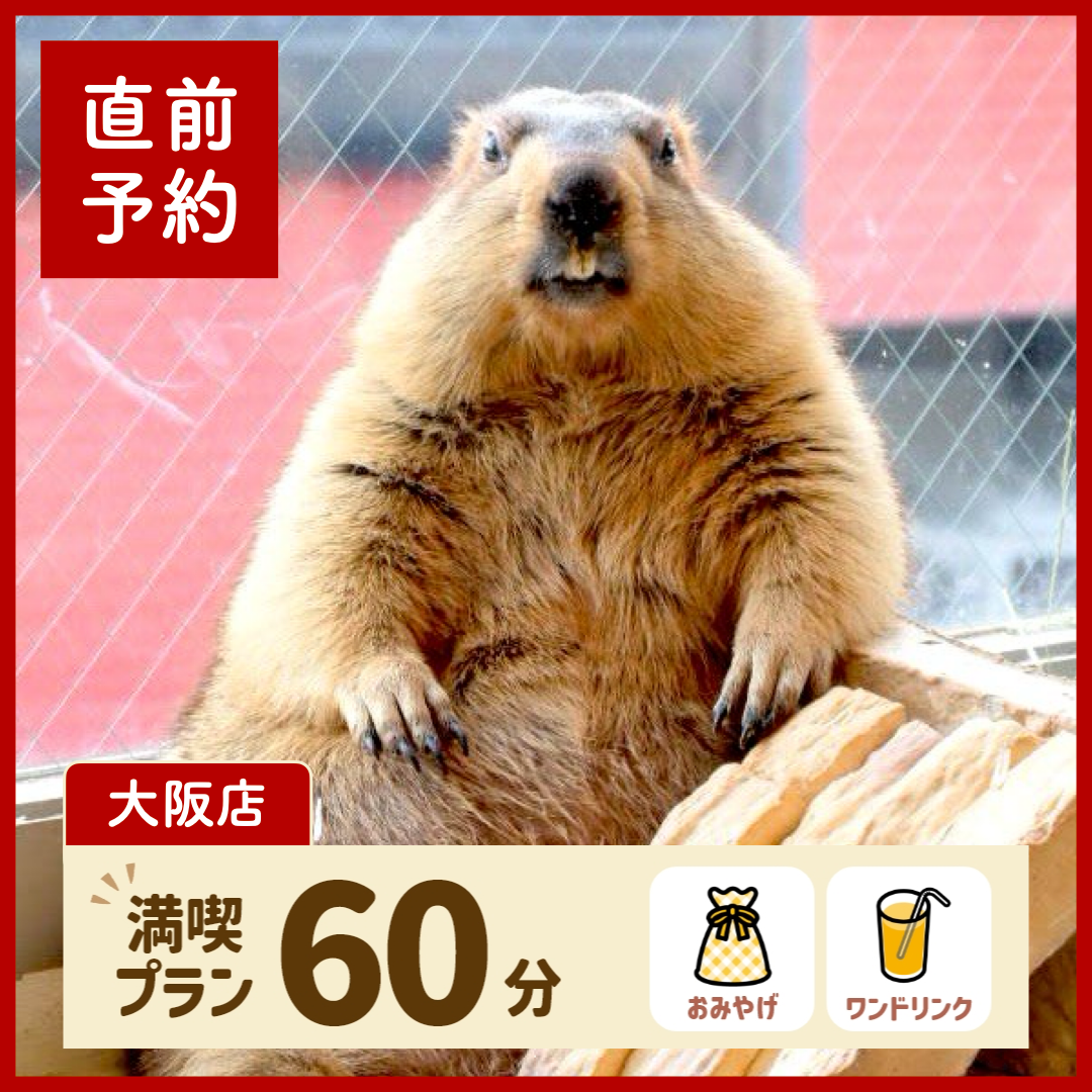 【大阪】【直前予約】満喫プラン 60分(ワンドリンク・お土産付き)