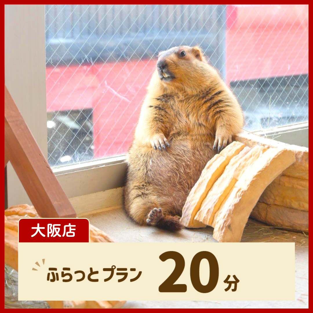 【大阪】ふらっとプラン 20分(ドリンク・お土産なし)