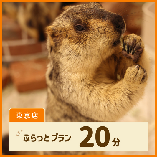 【東京店】ふらっとプラン 20分(ドリンク・お土産なし)