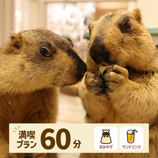満喫プラン 60分 -