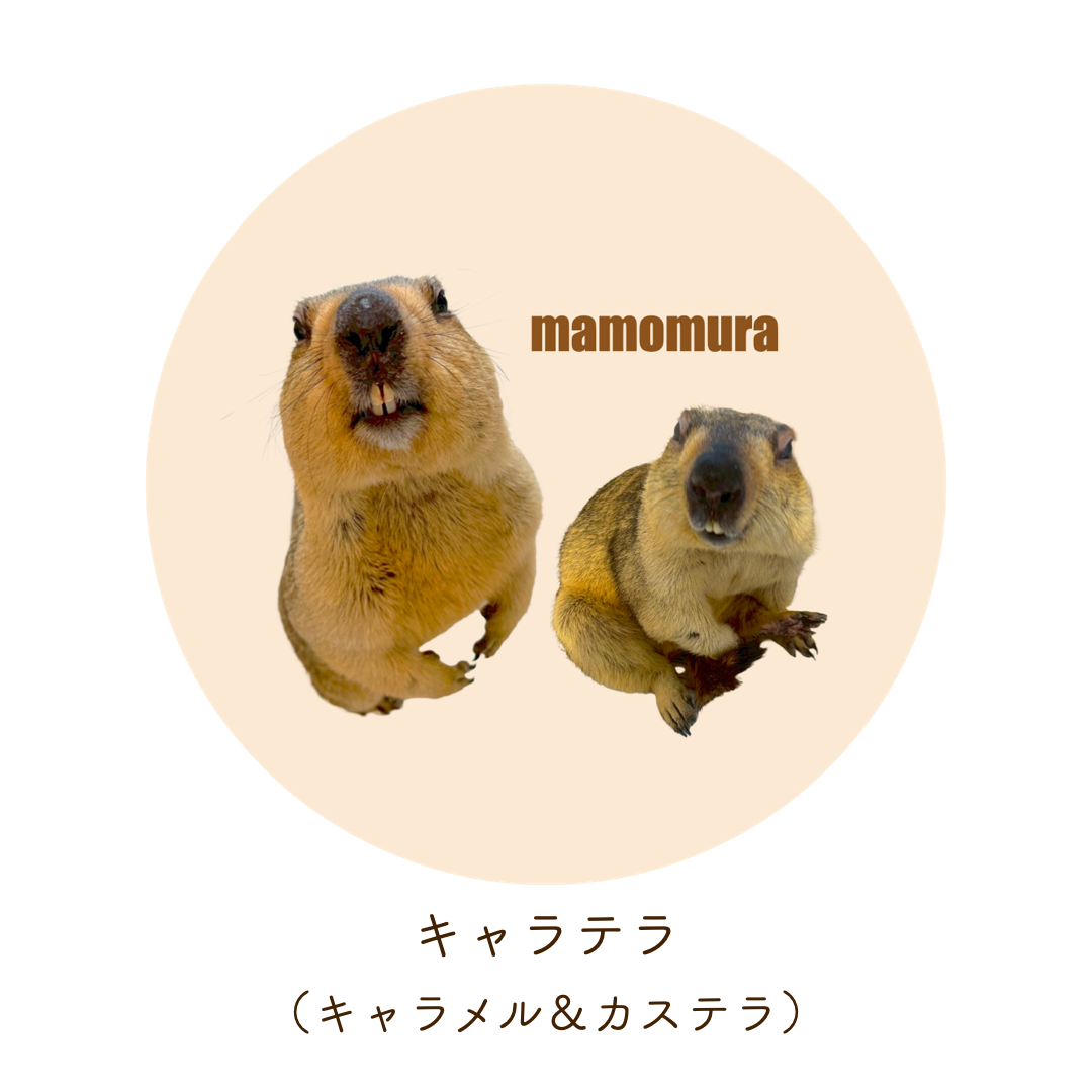【2枚セット】マモステッカー