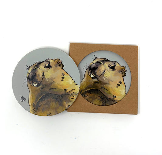 マモコースター by 蕾