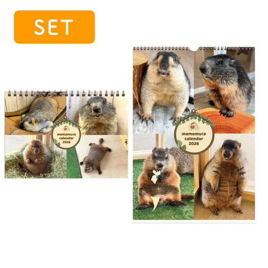 マーモットカレンダー2026（セット）