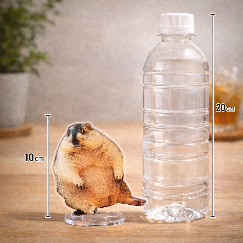 ビスケアクリルスタンド