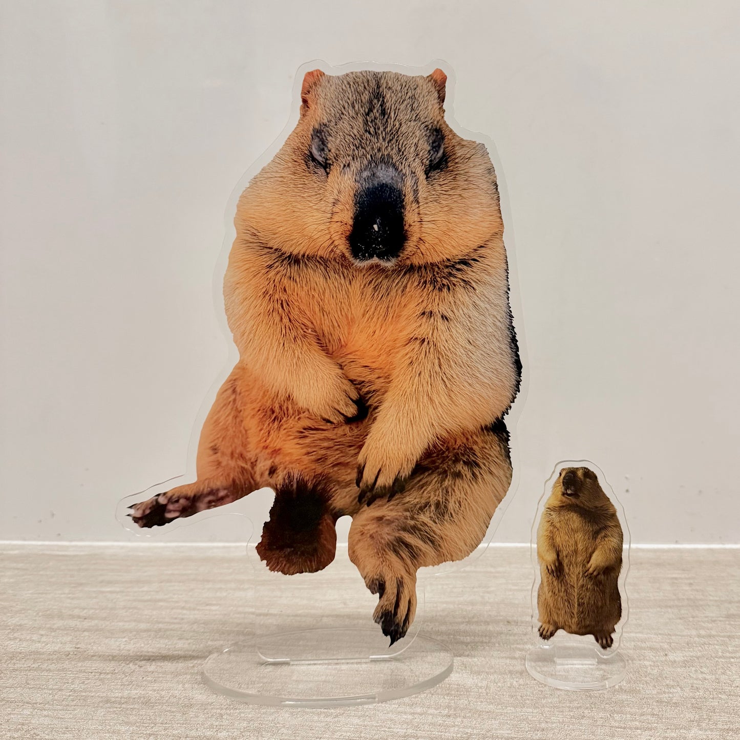 BIG寝落ちまもちアクリルスタンド