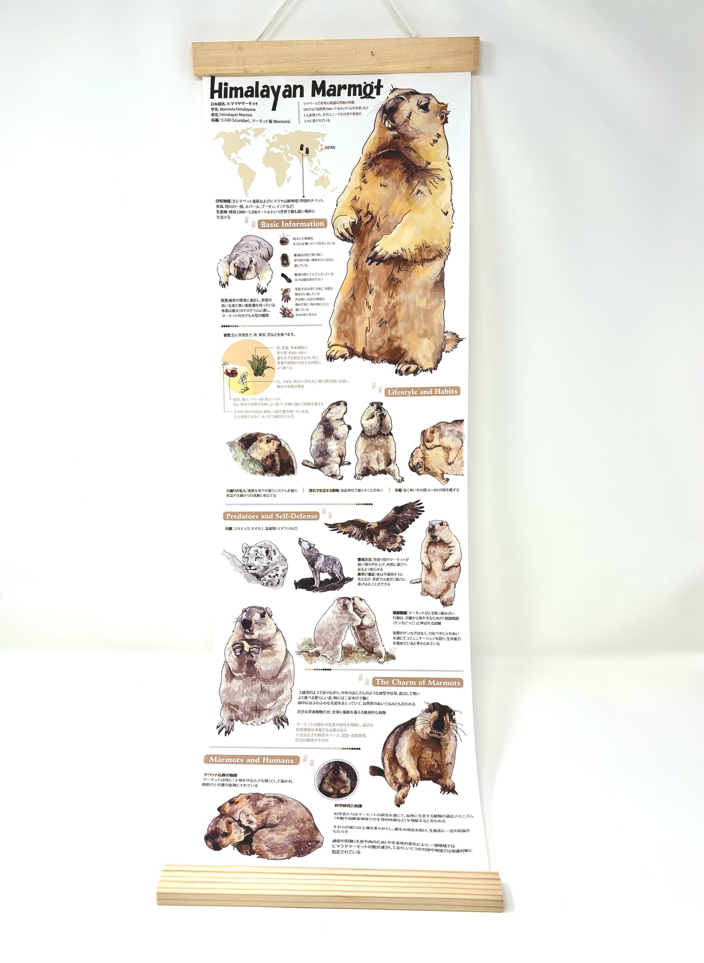 マモタペストリー by 蕾