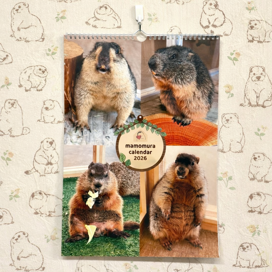 マーモットカレンダー2026（壁掛け）