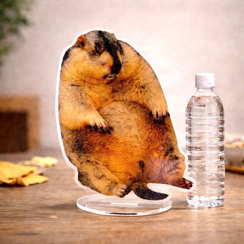 BIGビスケアクリルスタンド