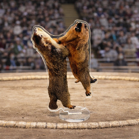 マモ相撲アクリルスタンド