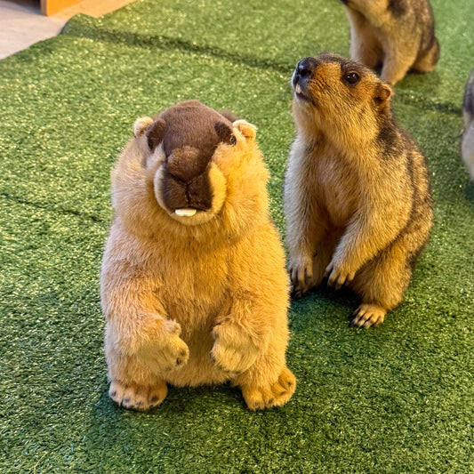 たたずみマーモットぬいぐるみ