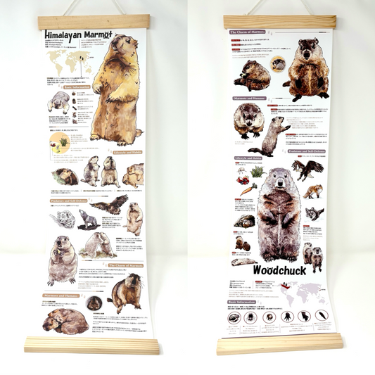 マモタペストリー by 蕾