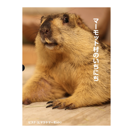 マーモット村のいちにち by マーモットフォト