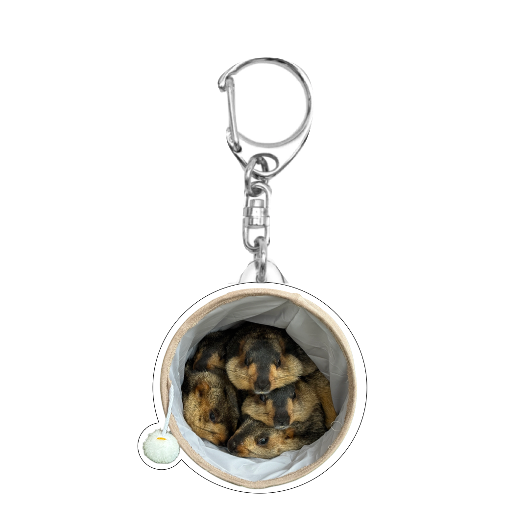 【2個セット】マーモットアクリルキーホルダー