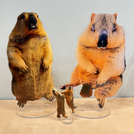 BIG寝落ちまもちアクリルスタンド