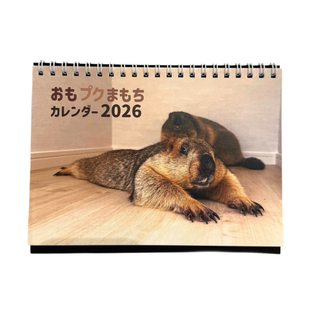 マーモットカレンダー2026（卓上）