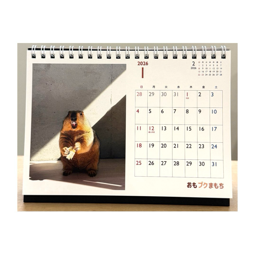 マーモットカレンダー2026（卓上）