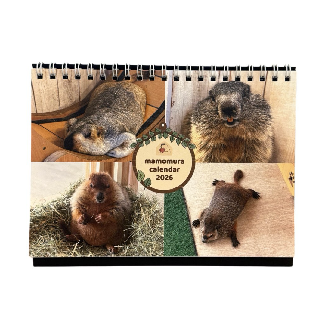 マーモットカレンダー2026（卓上）