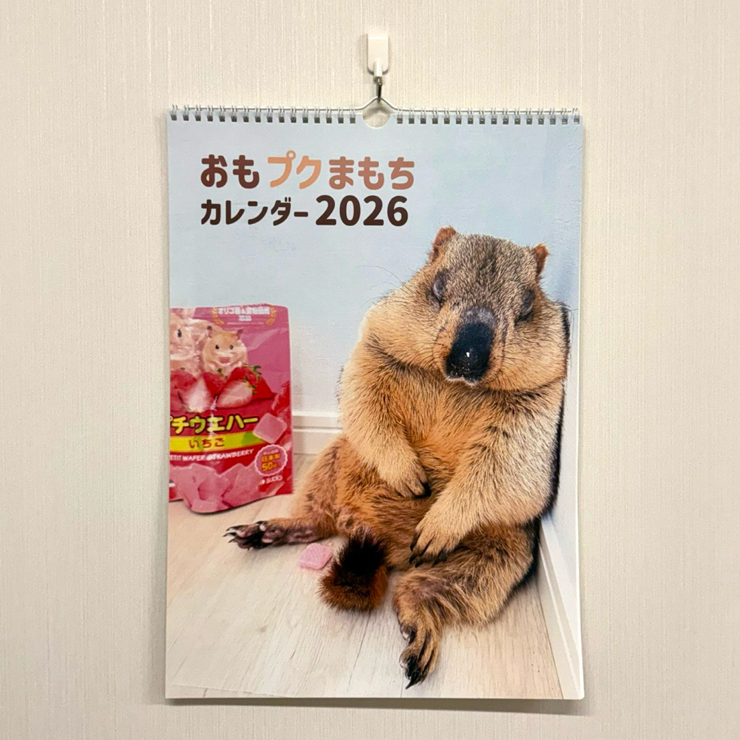 マーモットカレンダー2026（壁掛け）