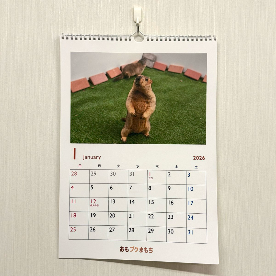 マーモットカレンダー2026（壁掛け）