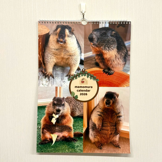マーモットカレンダー2026（壁掛け）
