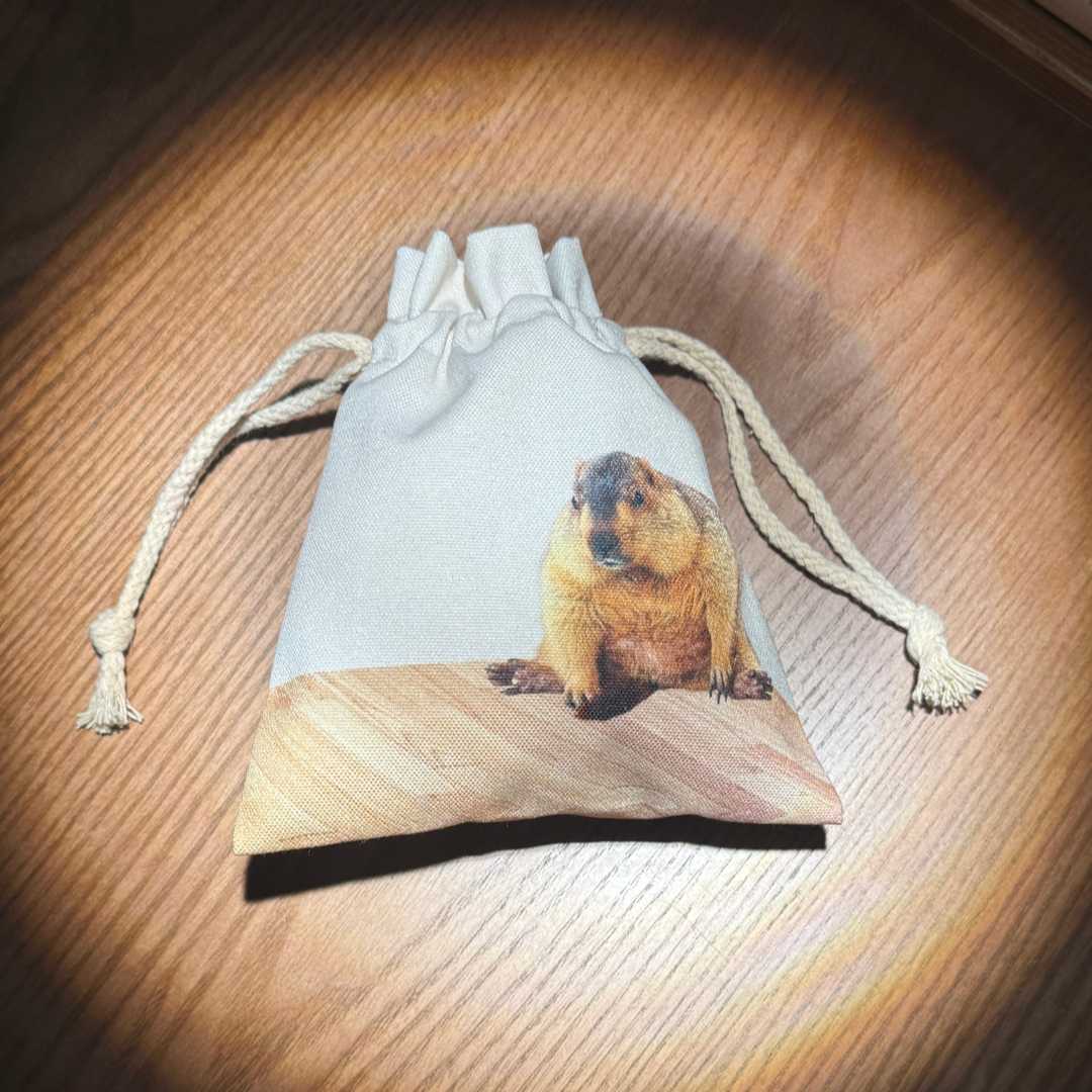 すみっこビスケ＆わらび巾着