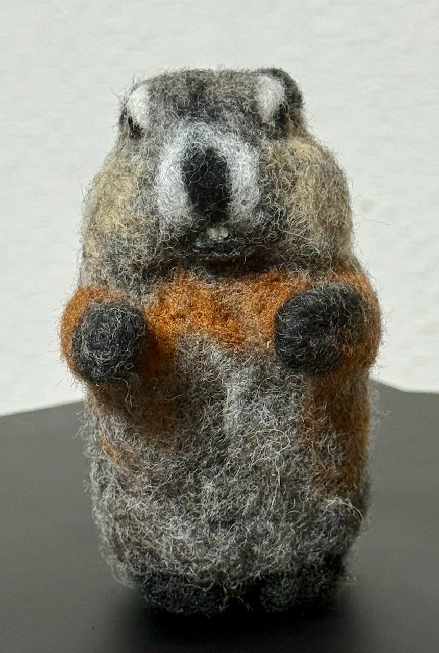 羊毛マーモット by あひるさん