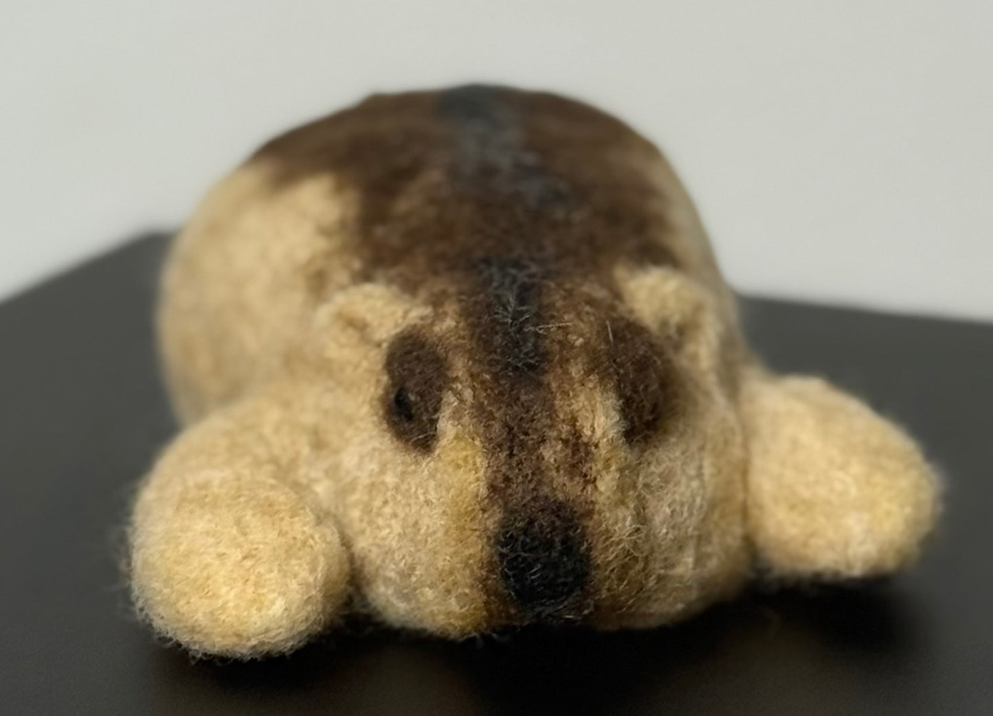 羊毛マーモット by あひるさん