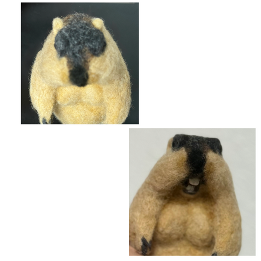 羊毛マーモット by あひるさん