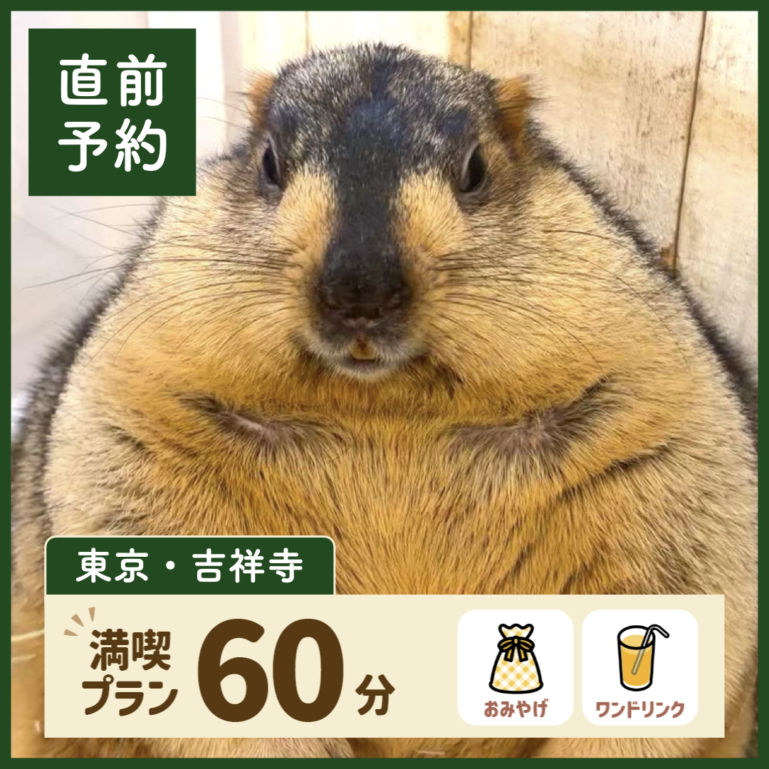 【東京・吉祥寺】【直前予約】満喫プラン 60分（ワンドリンク・お土産付き）
