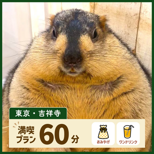 【東京・吉祥寺】満喫プラン 60分（ワンドリンク・お土産付き）