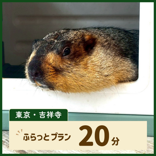 【東京・吉祥寺】ふらっとプラン 20分（ドリンク・お土産なし）