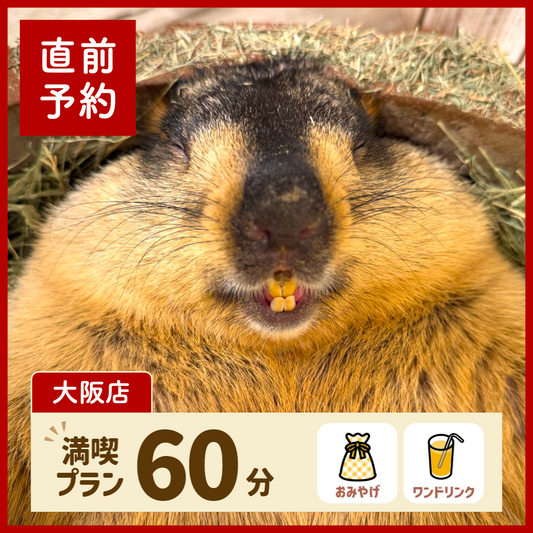 【大阪】【直前予約】満喫プラン 60分（ワンドリンク・お土産付き）