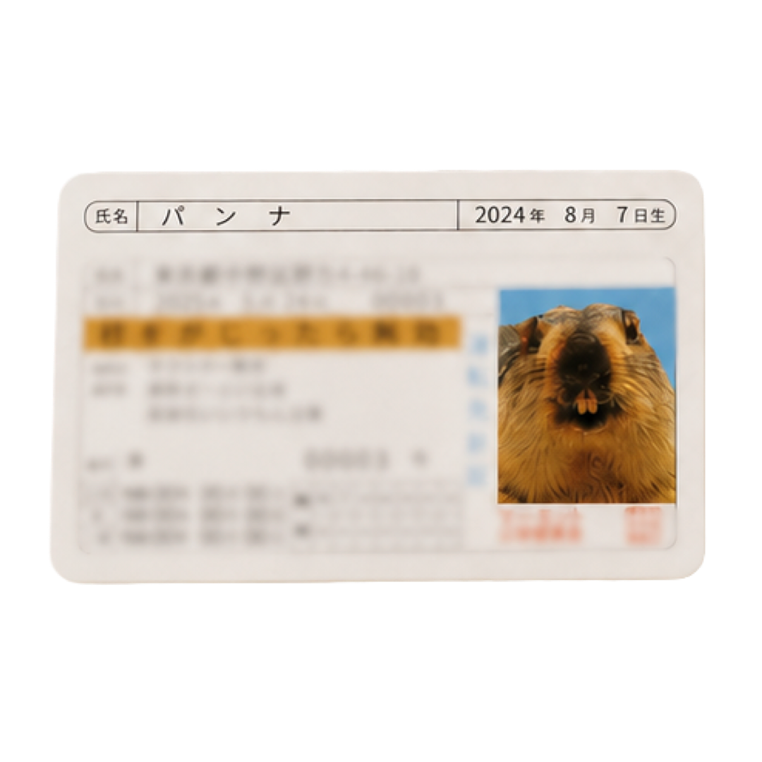 マモ村免許証 - 第2弾